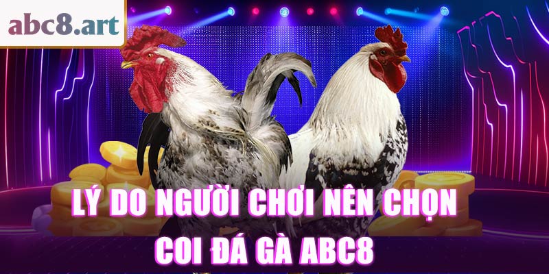 Lý do người chơi nên chọn coi đá gà tại Hb88